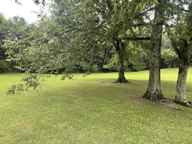 0 Industrial Loop Rd, Pulaski, TN 38478