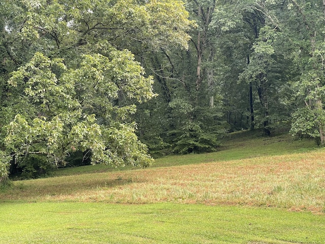 0 Industrial Loop Rd, Pulaski, TN 38478