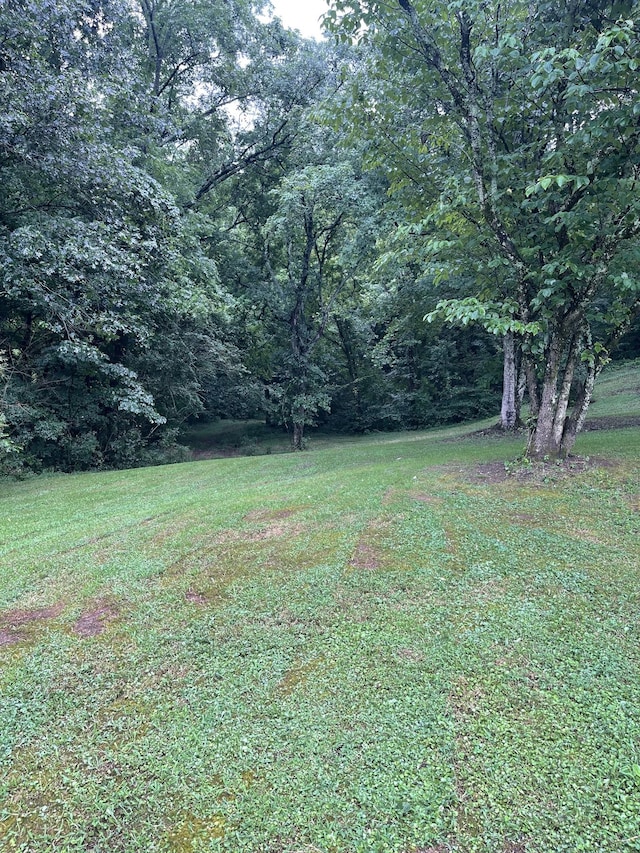 0 Industrial Loop Rd, Pulaski, TN 38478