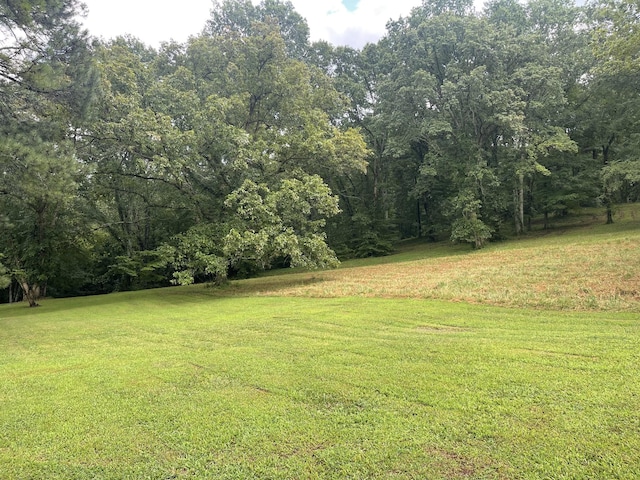 0 Industrial Loop Rd, Pulaski, TN 38478