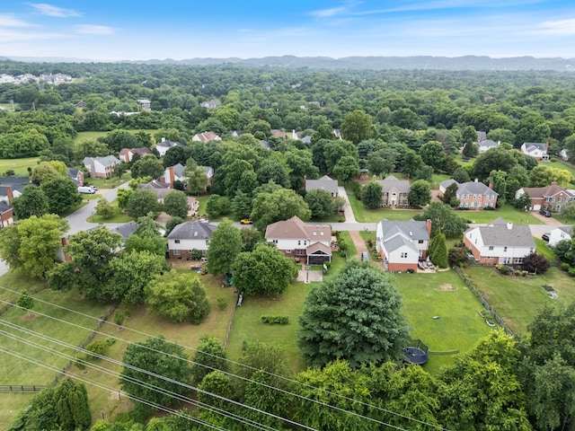 9164 Demery Ct, Brentwood, TN 37027 - photo 53