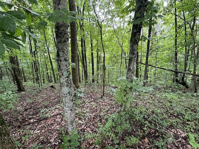 0 Star Point Rd, Celina, TN 38551