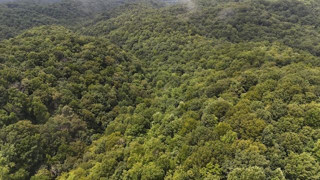 0 Star Point Rd, Celina, TN 38551