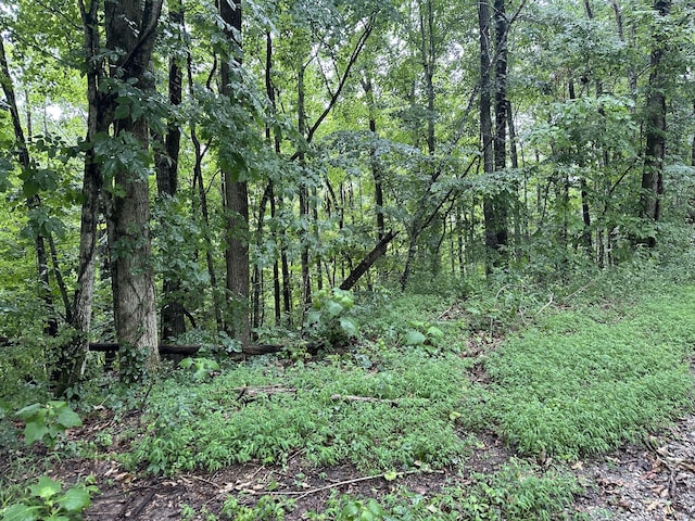 0 Star Point Rd, Celina, TN 38551