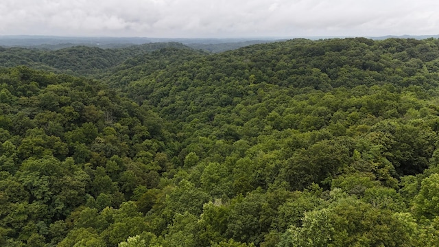 0 Star Point Rd, Celina, TN 38551