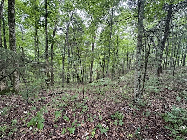 0 Star Point Rd, Celina, TN 38551