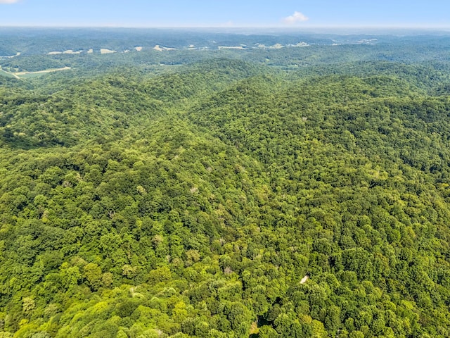 0 Star Point Rd, Celina, TN 38551