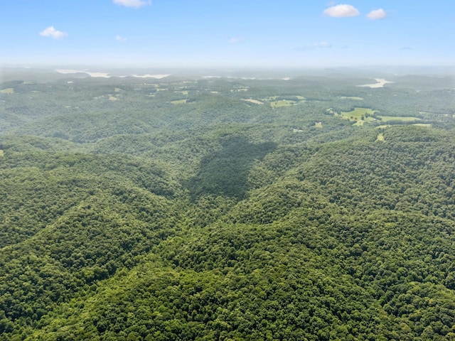 0 Star Point Rd, Celina, TN 38551