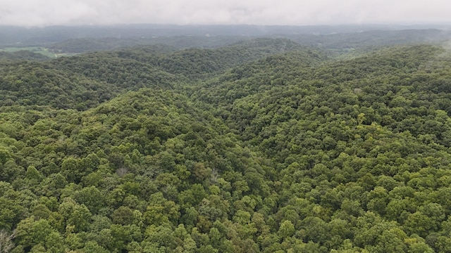 0 Star Point Rd, Celina, TN 38551