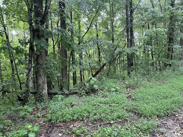 0 Star Point Rd, Celina, TN 38551