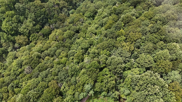 0 Star Point Rd, Celina, TN 38551