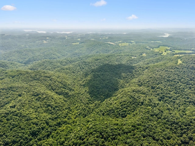 0 Star Point Rd, Celina, TN 38551