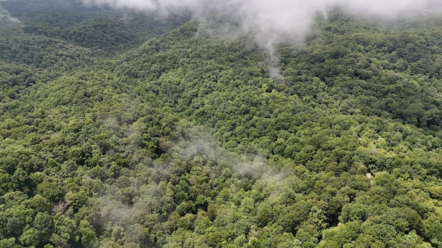 0 Star Point Rd, Celina, TN 38551