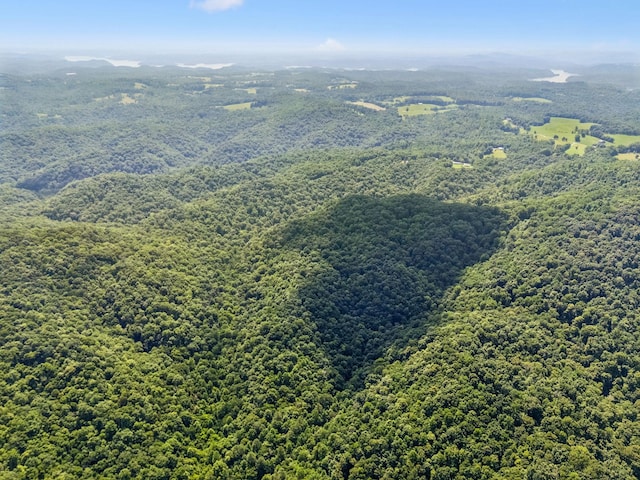 0 Star Point Rd, Celina, TN 38551