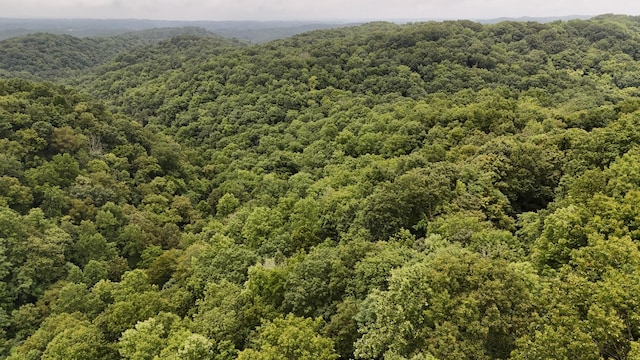 0 Star Point Rd, Celina, TN 38551