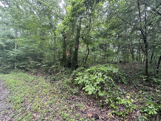 0 Star Point Rd, Celina, TN 38551
