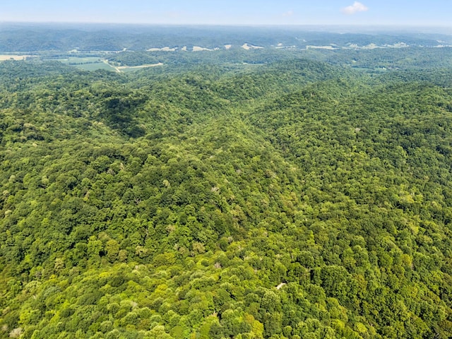 0 Star Point Rd, Celina, TN 38551