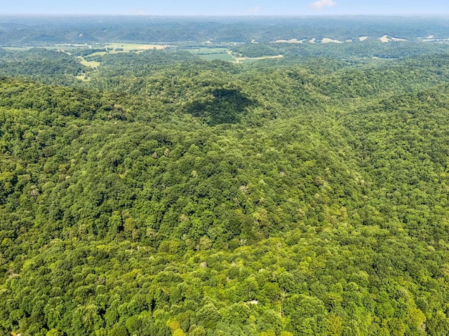 0 Star Point Rd, Celina, TN 38551