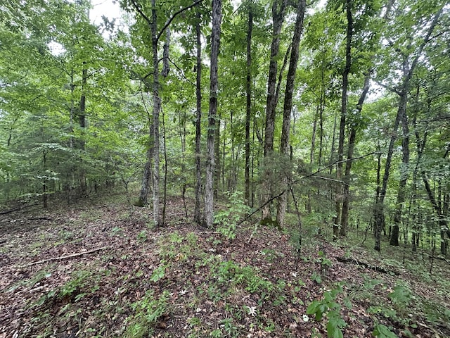 0 Star Point Rd, Celina, TN 38551