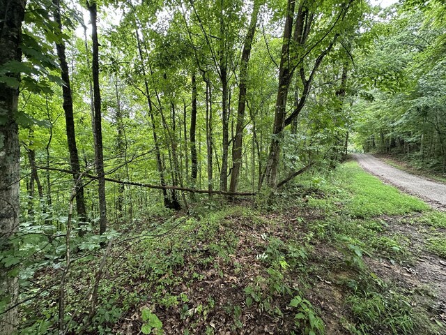 0 Star Point Rd, Celina, TN 38551