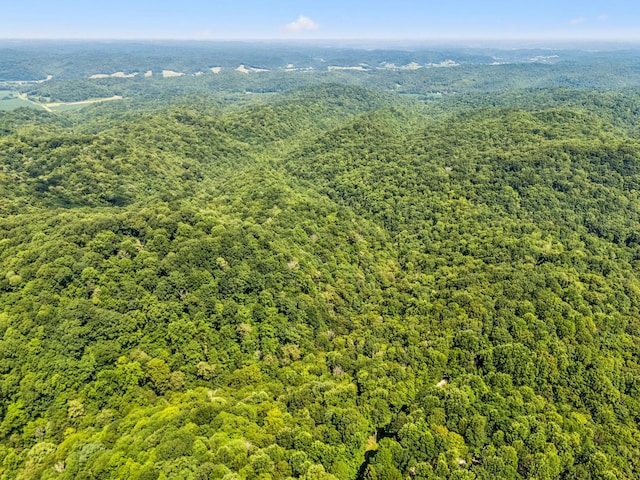 0 Star Point Rd, Celina, TN 38551