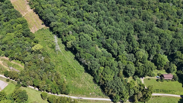 0 Allison Hollow Ln, Carthage, TN 37030