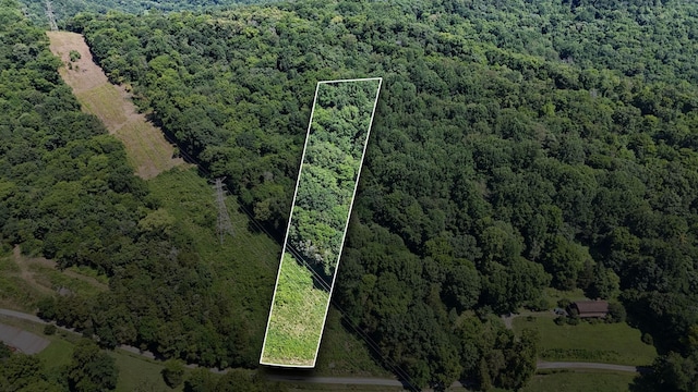 0 Allison Hollow Ln, Carthage, TN 37030