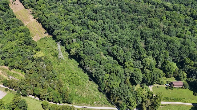 0 Allison Hollow Ln, Carthage, TN 37030
