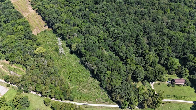 0 Allison Hollow Ln, Carthage, TN 37030
