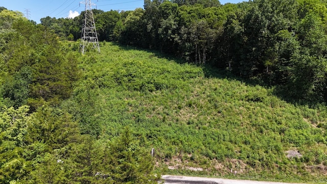 0 Allison Hollow Ln, Carthage, TN 37030