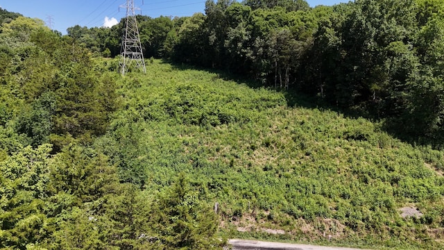 0 Allison Hollow Ln, Carthage, TN 37030