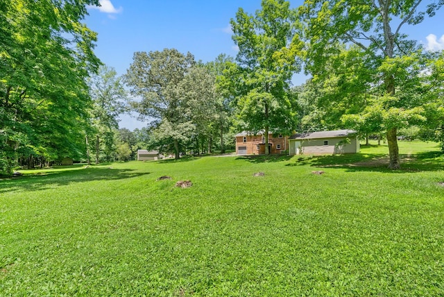 1852 Mimi Rd, Clarksville, TN 37040 - photo 31