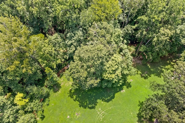 1852 Mimi Rd, Clarksville, TN 37040 - photo 33