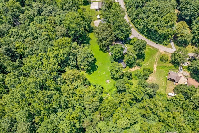 1852 Mimi Rd, Clarksville, TN 37040 - photo 37