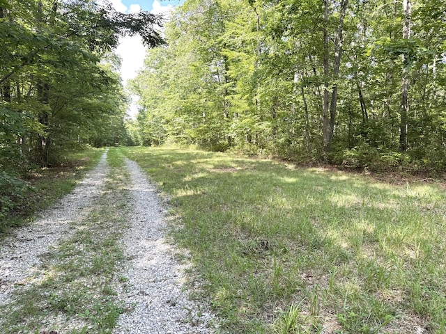 0 Indian Camp Creek Rd, Altamont, TN 37301 - photo 10