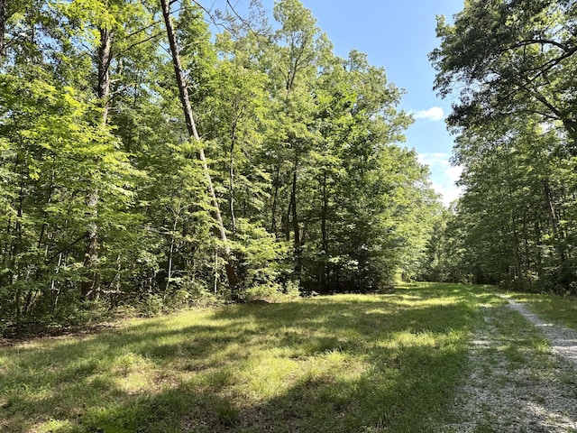 0 Indian Camp Creek Rd, Altamont, TN 37301 - photo 6