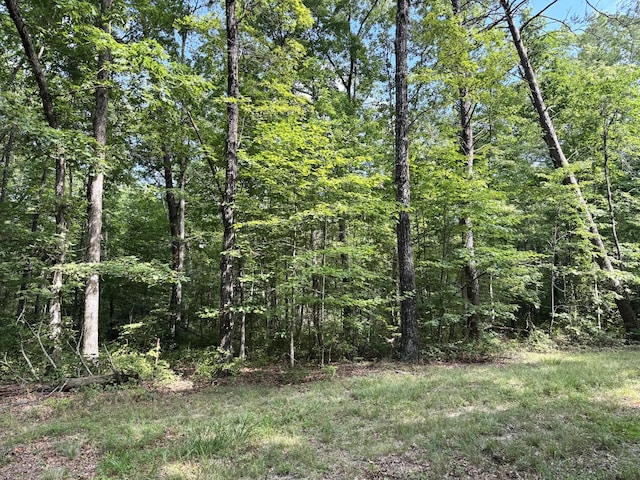 0 Indian Camp Creek Rd, Altamont, TN 37301 - photo 12