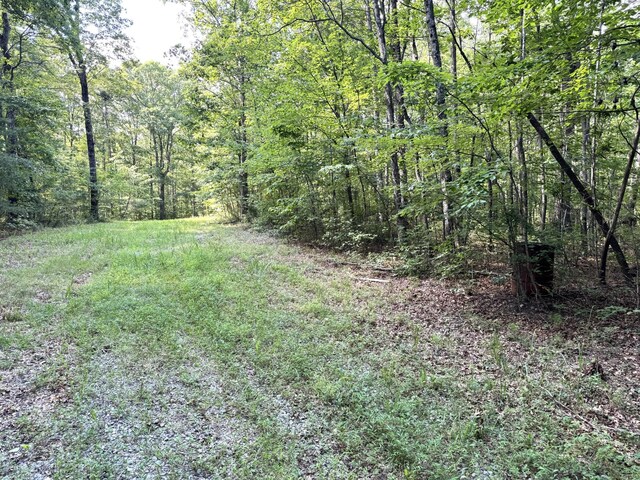0 Indian Camp Creek Rd, Altamont, TN 37301 - photo 7