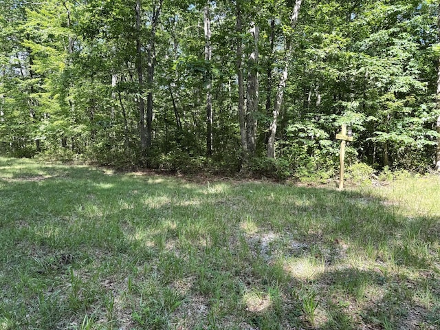 0 Indian Camp Creek Rd, Altamont, TN 37301 - photo 9
