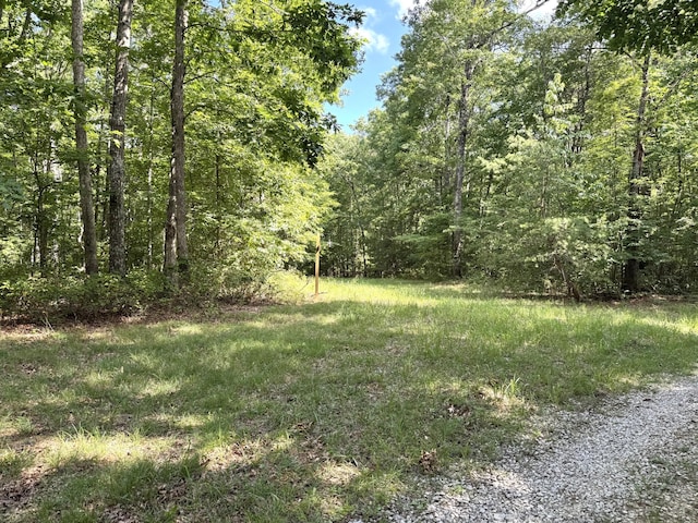 0 Indian Camp Creek Rd, Altamont, TN 37301 - photo 11