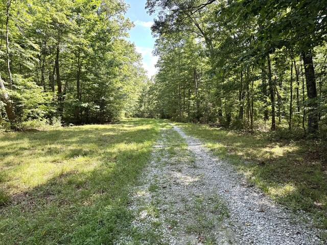 0 Indian Camp Creek Rd, Altamont, TN 37301 - photo 5