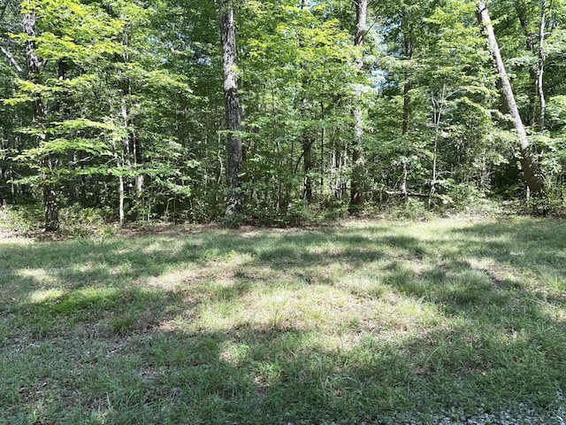0 Indian Camp Creek Rd, Altamont, TN 37301 - photo 4