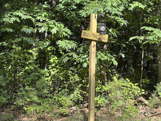 0 Indian Camp Creek Rd, Altamont, TN 37301 - photo 8