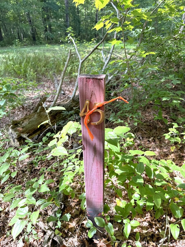 0 Indian Camp Creek Rd, Altamont, TN 37301 - photo 3