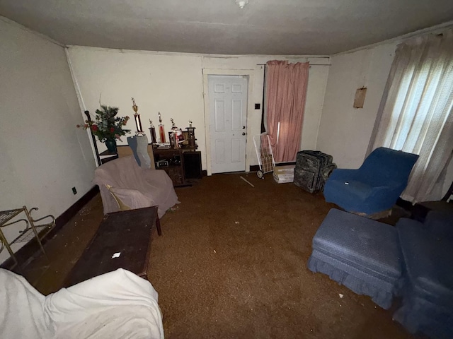 209 Olive St, Mount Pleasant, TN 38474 - view of carpeted living room