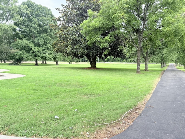 2680 Cedar Grove Rd, Lebanon, TN 37087 - view of home's community featuring a lawn and view of scattered trees