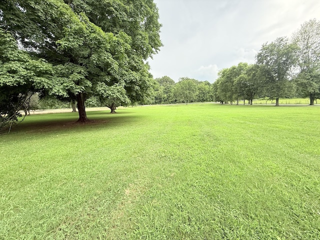 2680 Cedar Grove Rd, Lebanon, TN 37087 - view of grassy yard