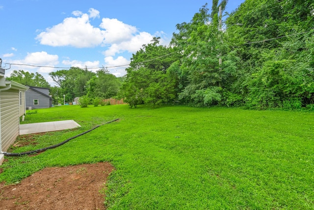 1615 Mohawk Trl, Hopkinsville, KY 42240 - view of grassy yard