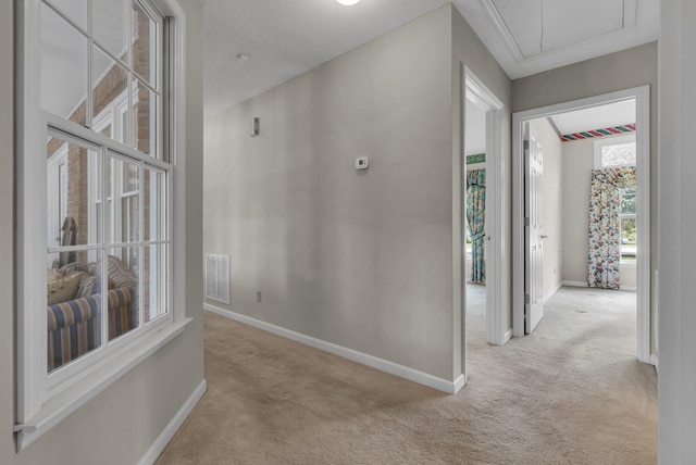 213 Ashebrooke Ln, Clarksville, TN 37043 - photo 38