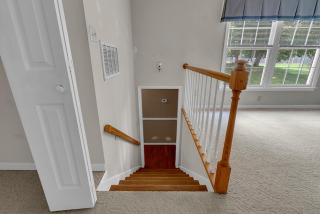 213 Ashebrooke Ln, Clarksville, TN 37043 - photo 36